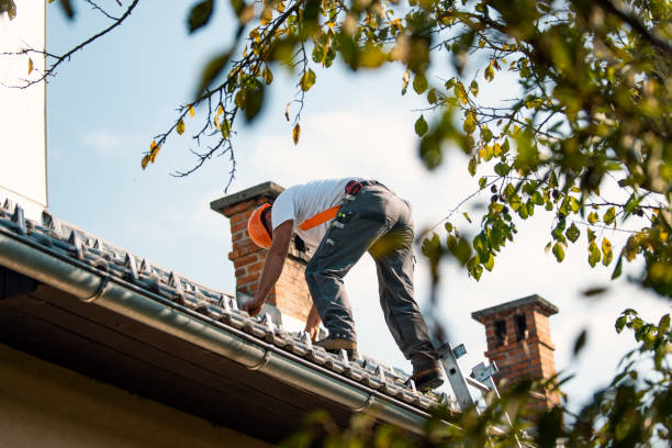 Quick and Trustworthy Emergency Roof Repair Services in Ingram, PA